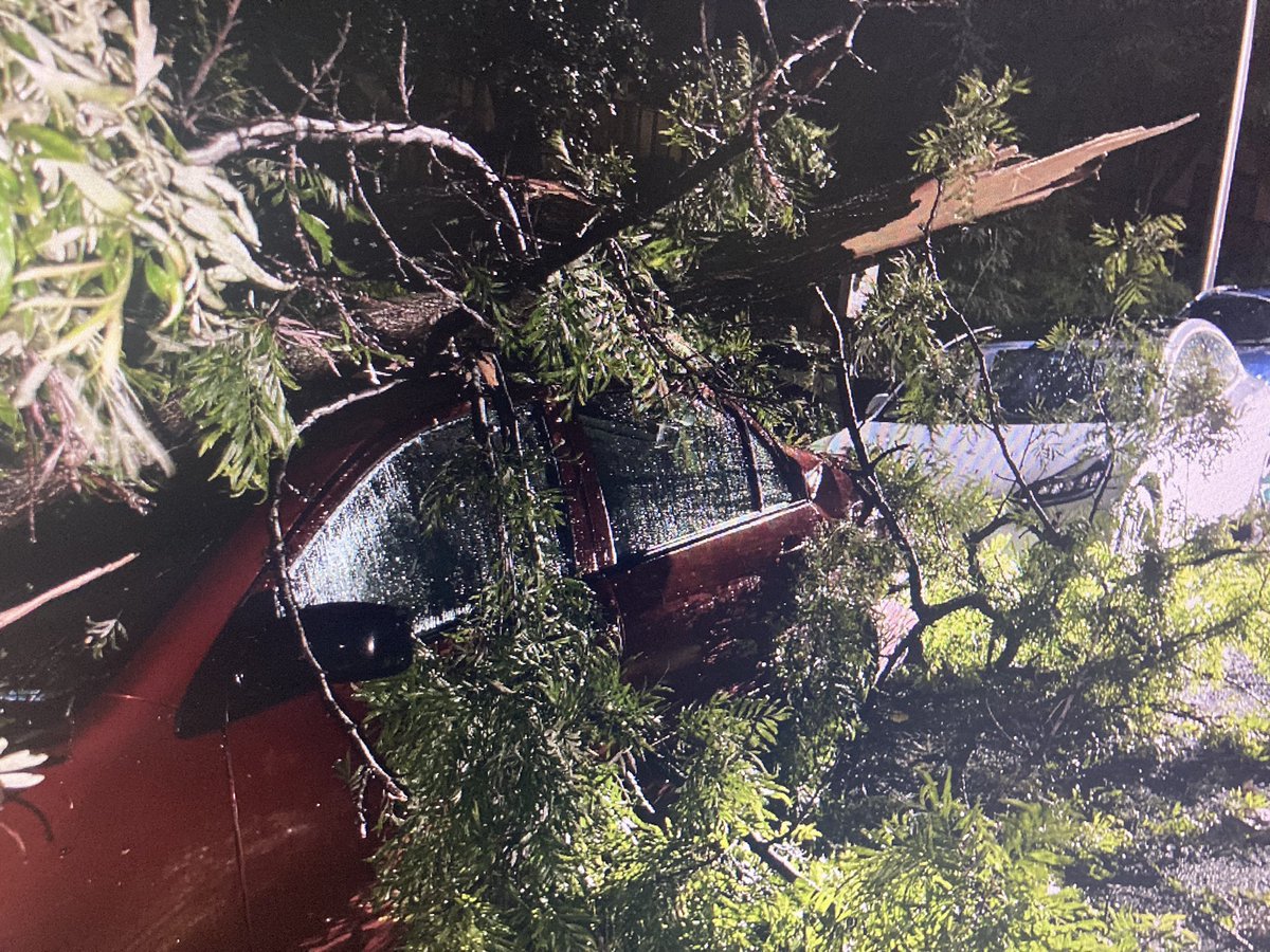 Busy nite in Bmont with wires down, trees blocking roads, onto cars and a tree into a house. Thankfully no injuries. pray The wind & lightning started about 2am with strong gusts all over town. 