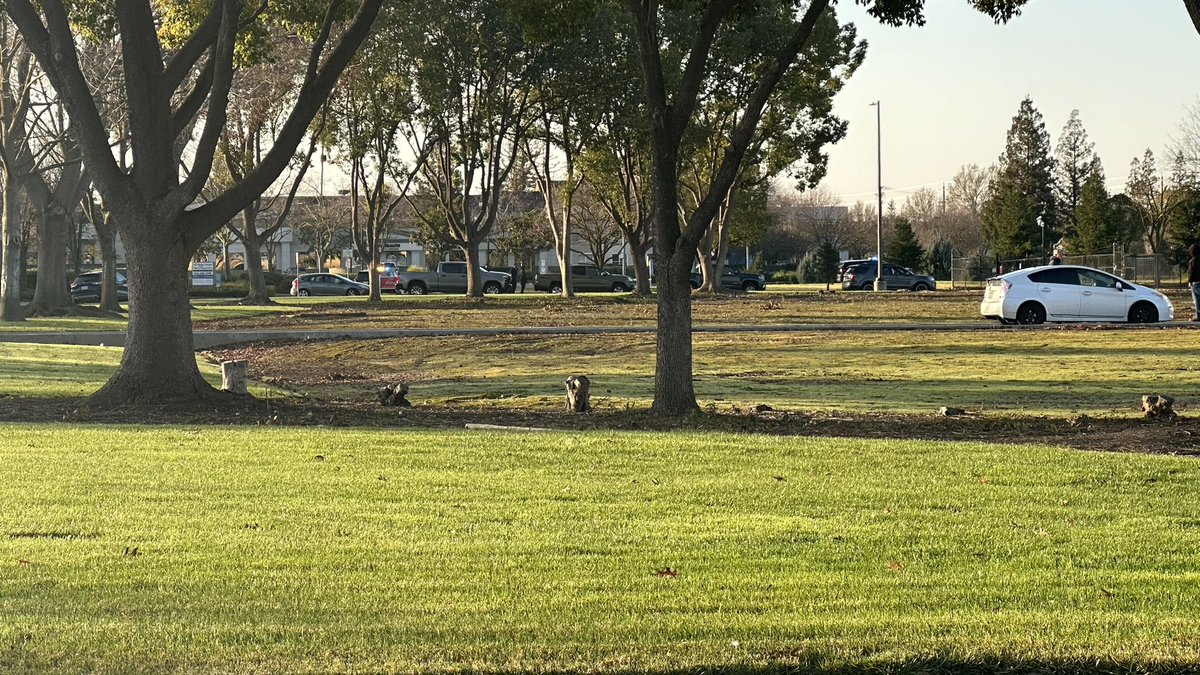 Elk Grove PD looking for a person who ran from a stolen vehicle near the Green Acres on East Stockton Boulevard. Two suspects already detained. The public is asked to avoid the area as the search continues