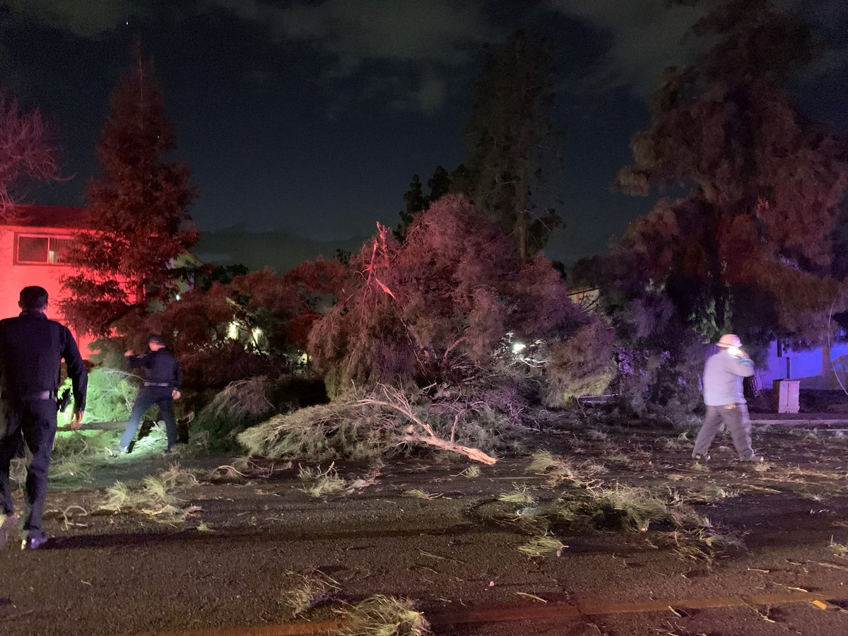 Strong winds knocking down trees and powerlines - smashing cars - blocking roads all over the Fresno/Clovis area 