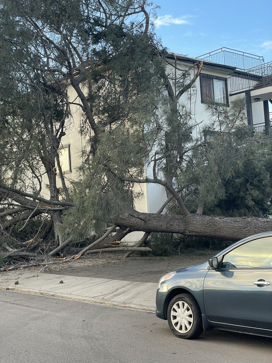 An apartment complex in Bay Park had to be evacuated after a tree uprooted and fell on the building. The tree also knocked down power lines.   Everyone is ok. Crews are out assessing the damage