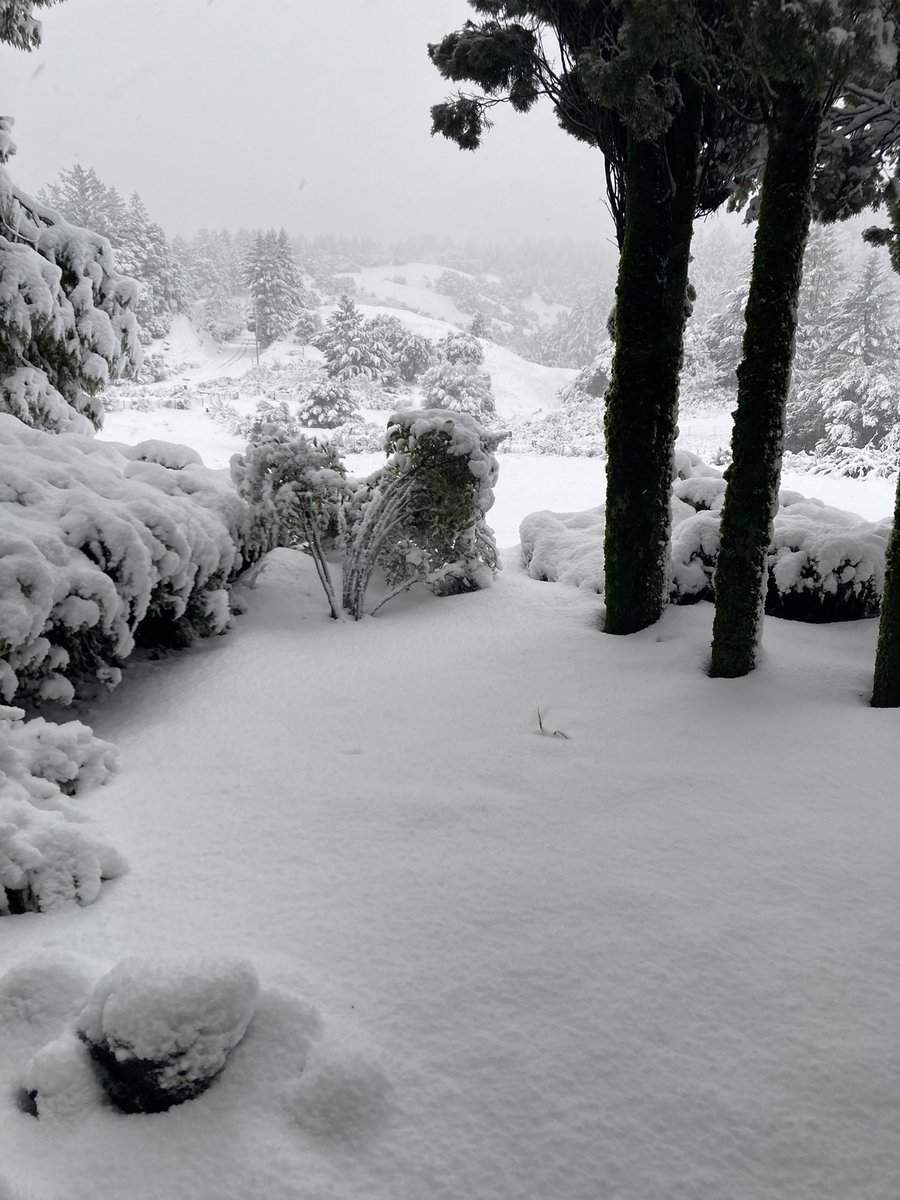 Skyline Blvd at 2500 feet in the SantaCruzMountains.  Been a long time since there has been that much snow