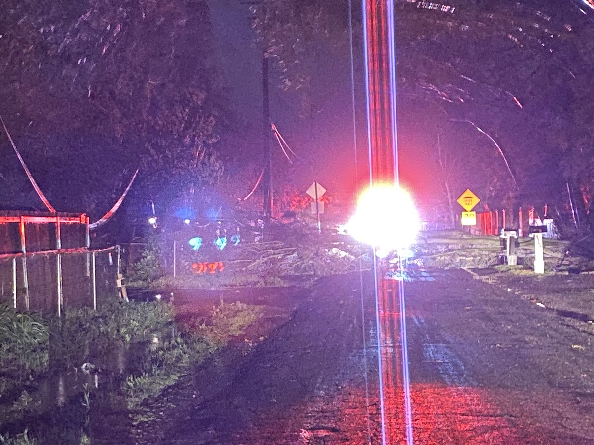 Tree down on power lines. 2nd Street in Rio Linda. Gas leak. 