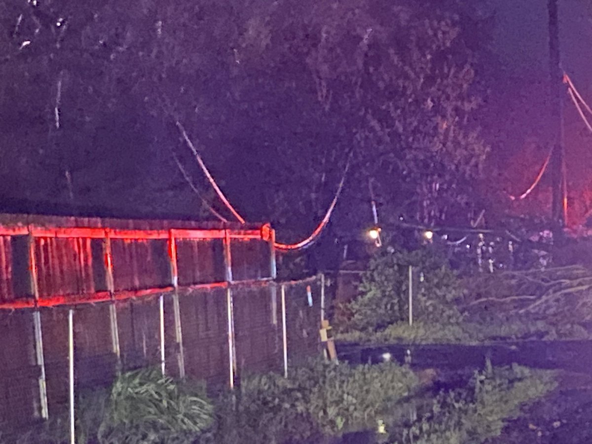 Tree down on power lines. 2nd Street in Rio Linda. Gas leak. 