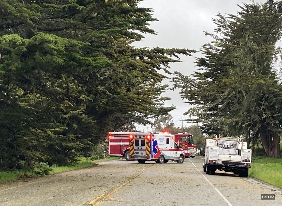 At least five people were killed in Tuesday's turbulent storm that ripped through the Bay Area