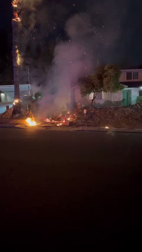 A palm tree caught fire on the 16500 block of Main in La Puente at approximately 9:01pm. LACFD is on scene handling the fire