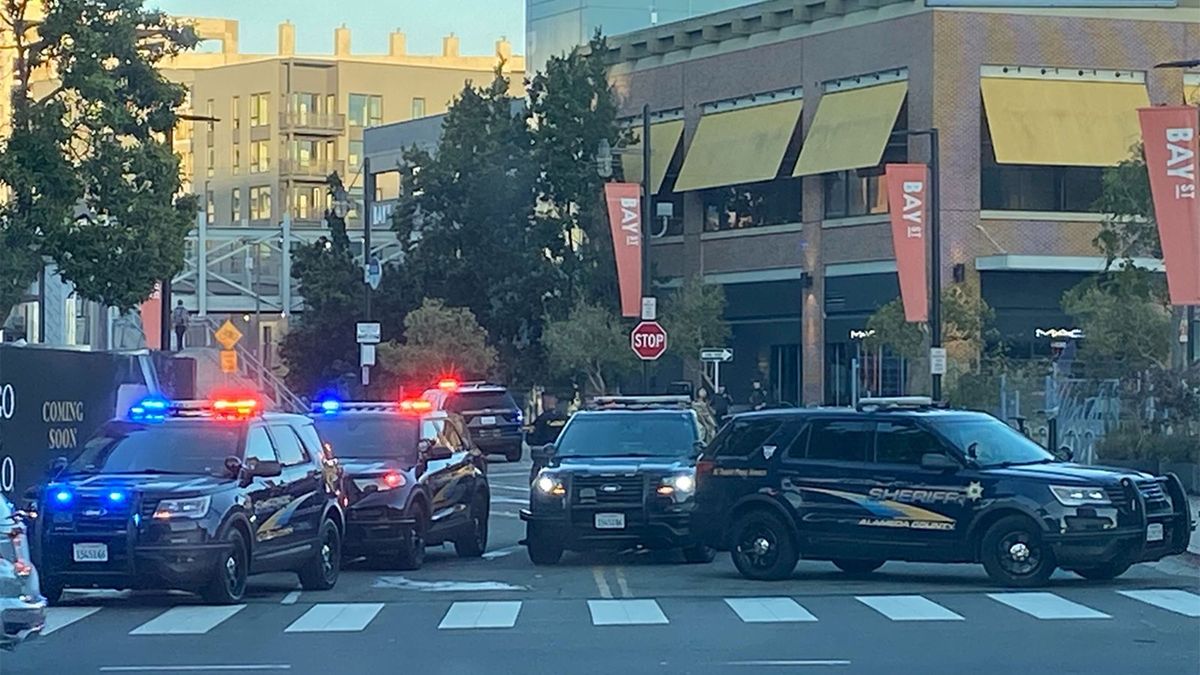 Emeryville police say they were on the scene Sunday evening after about 300 juveniles broke into groups and were involved in multiple fights near the AMC Theater on Bay and Shellmound Streets