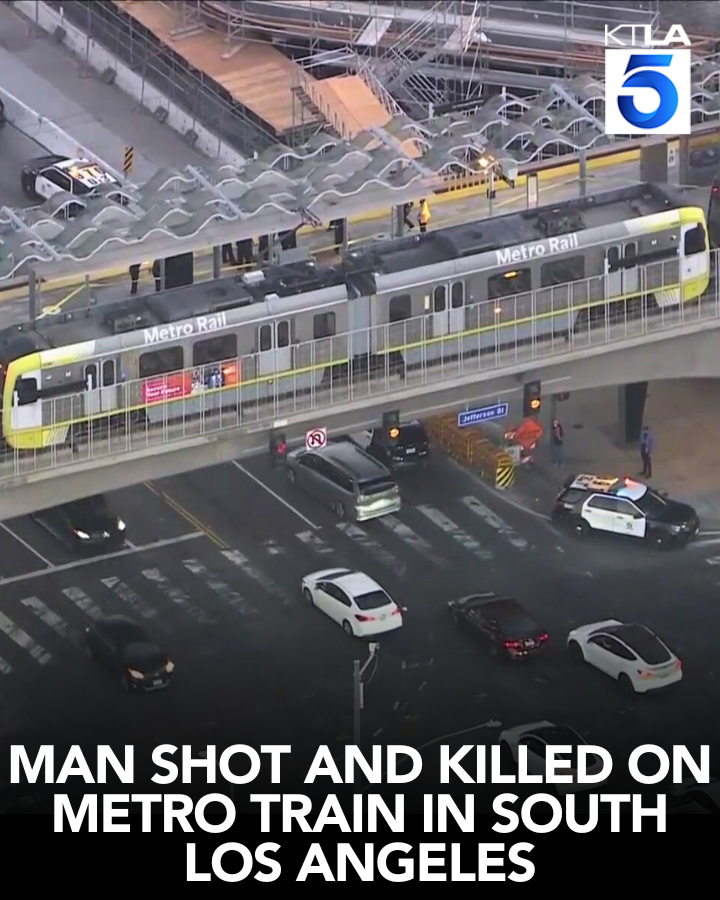 A man was killed after being shot in the head on a Metro train in South Los Angeles.