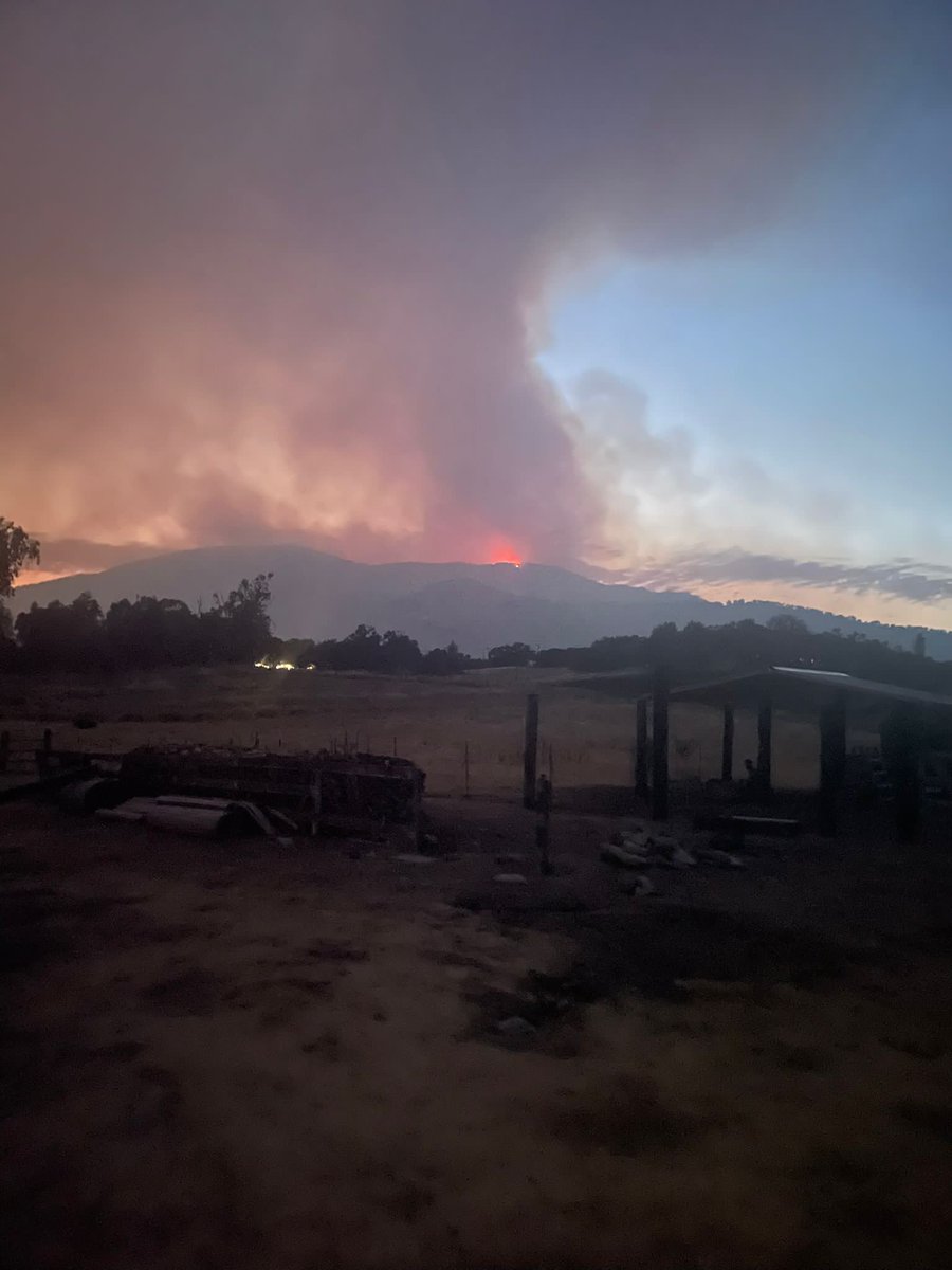 Project Survival Cat Haven is gearing up for a potential evacuation as the Dunlap property is within one mile of the mandatory evacuation orders due to the Flash fire currently burning.