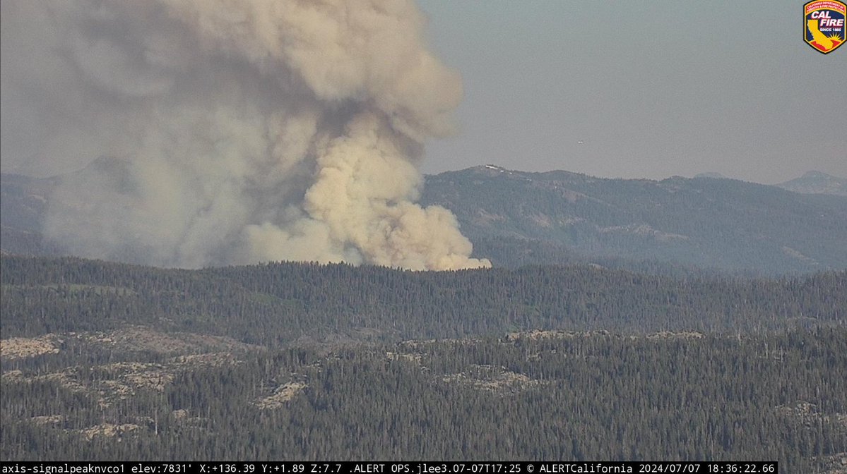 CAL FIRE has determined the Royal Fire burning west of Truckee was started by an escaped campfire. The fire has burned an estimated 100 acres and is spreading quickly