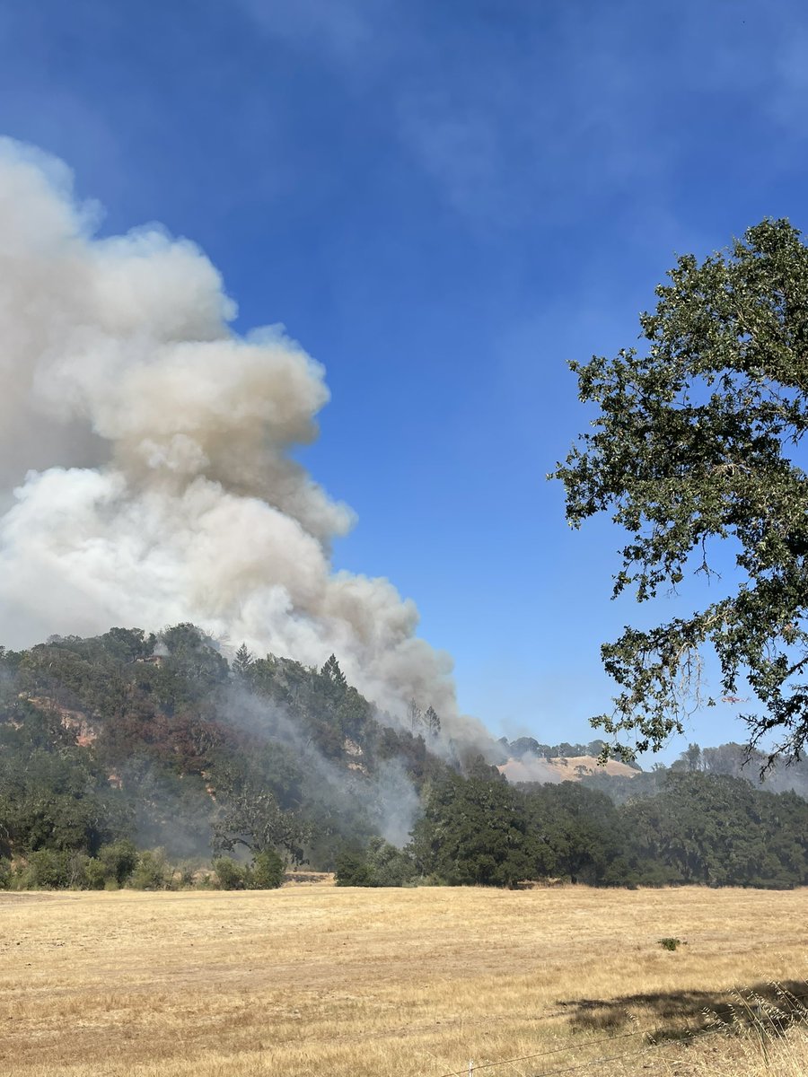 FloraFire : The fire is actively burning on the east side of Chalk Hill Road. It is approximately 50 acres with a moderate rate of spread. The fire on the west side of the road has been contained