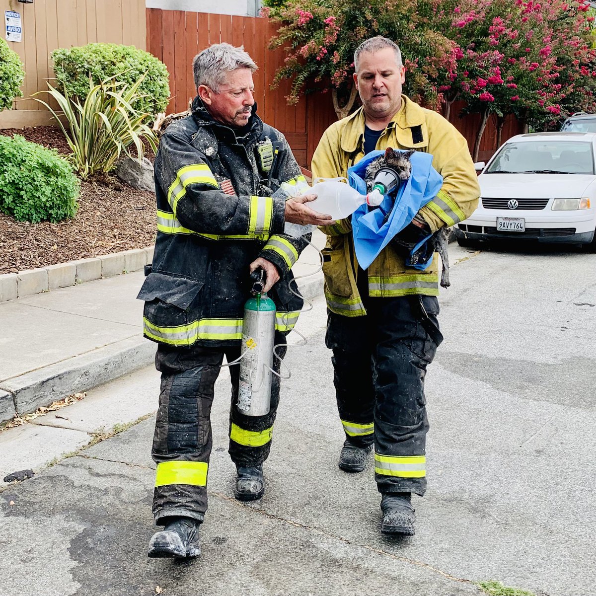 SJFD firefighters are on scene of a second alarm assignment at a residential structure on the 5500 block of Century Manor Ct in South San Jos. One firefighter transported with burn injuries. One cat alert and meowing after oxygen mask. 