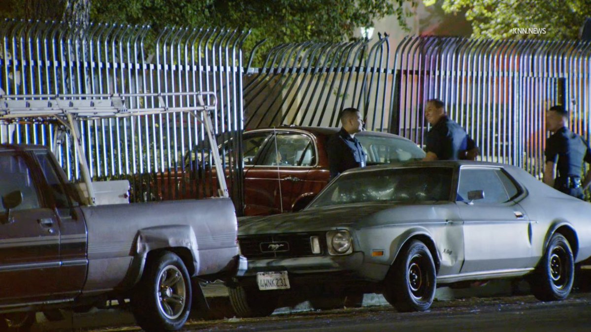 Motorist dies after being shot, crashing in Los Angeles neighborhood