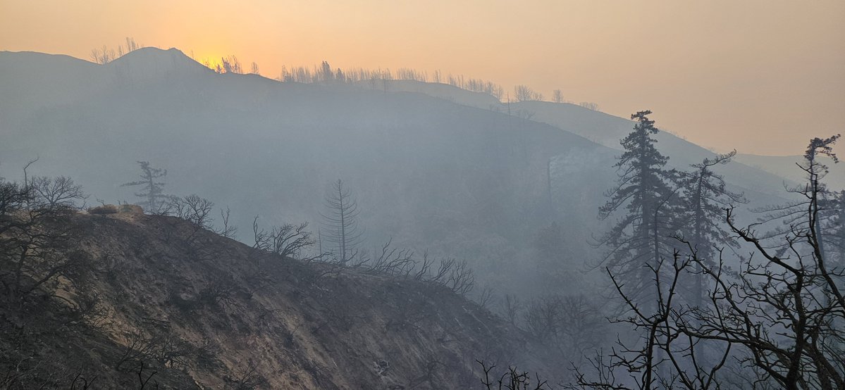 Fire damage from the LineFire on the 330 heading up to Running Springs. As of now, officials say no homes damaged from fire