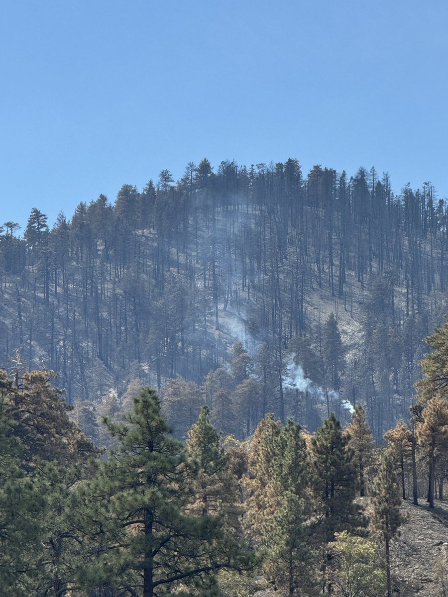 BridgeFireResidents and visitors in Wrightwood will see smoke from an isolated tree burning within the fire perimeter. Location: South of the intersection of Flume Canyon Rd. and Highway 2 