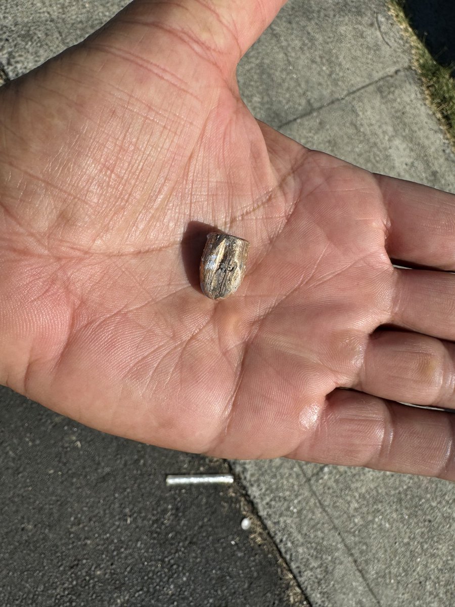 Bullet from shooting that killed man near 105th and E went through bedroom window of 3yo boy, who wasn’t hurt. @oaklandpoliceca investigating