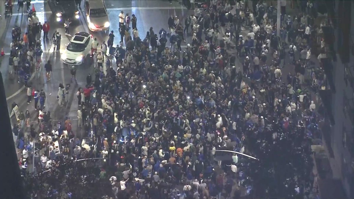 Some fans were seen looting a store and breaking windows in downtown Los Angeles as crowds took over the streets to celebrate the Dodgers' World Series win