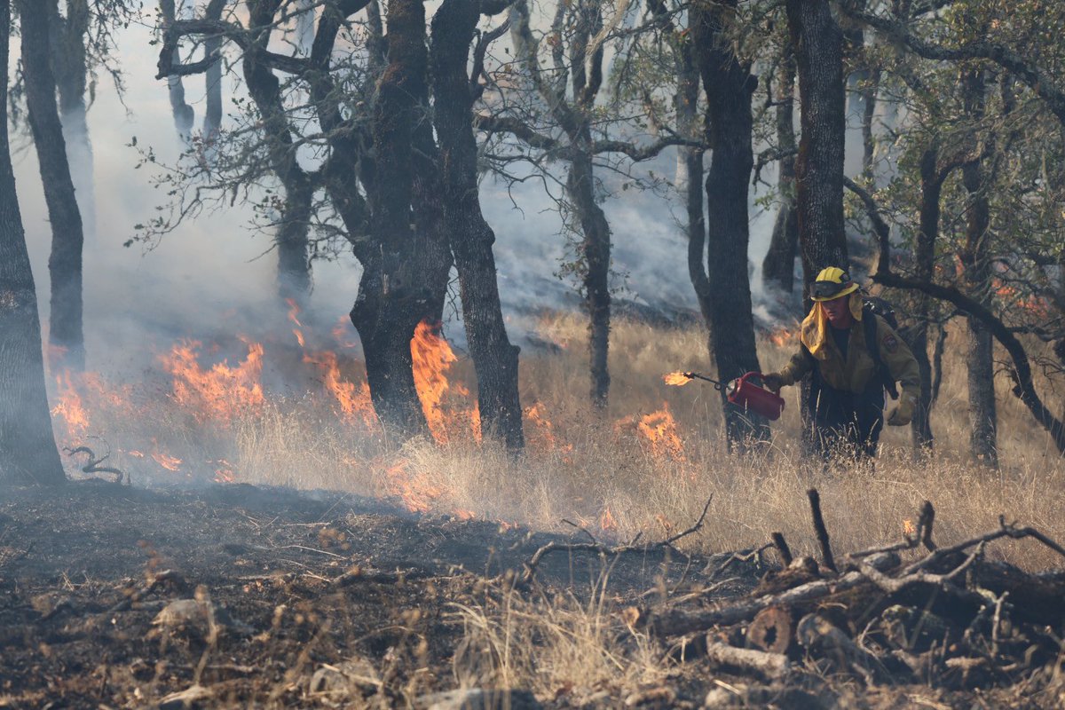 Ignitions for the prescribed burn at the Pepperwood Preserve are underway. Targeted treatment area Saturday is 37 acres.