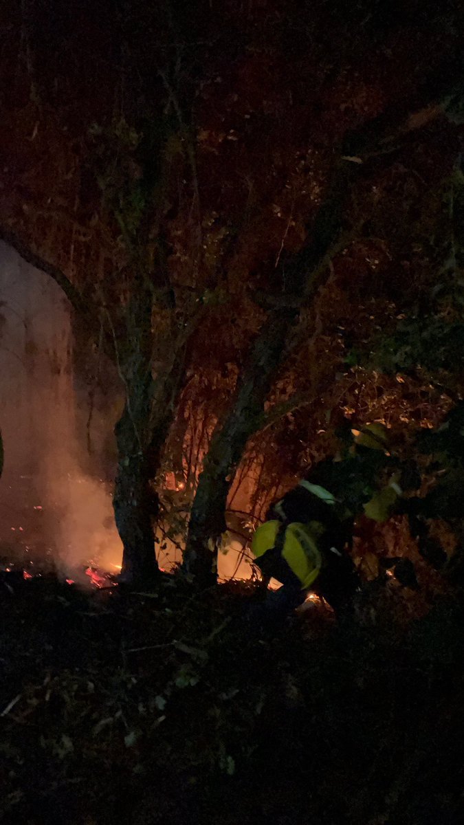 Fire Chief Damon Covington provides incident update at the scene of tonight‘s 3 alarm vegetation fire near Grass Valley and Skyline Boulevard. Fire is now contained forward progress stopped. Crews will be on scene and in the area throughout the night. 2) As of 10:10pm, the Forward Progress of this fire is stopped. Approximately 60 firefighters on scene, and crews have fire surrounded. 