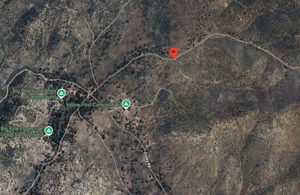 GoldFire 100  acres. Forest Road 3N16 x/Coxey Rd