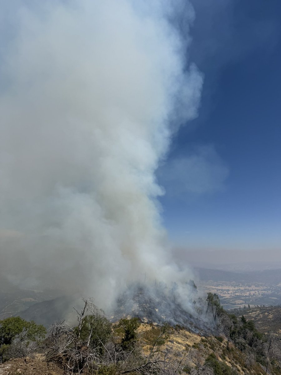 PickettFire : Thanks to the hard work being put in by firefighters, we now have 5% containment on this fire. Another flight from Intel 12 has been ordered to map the fire and provide updated acreage, which will be forthcoming