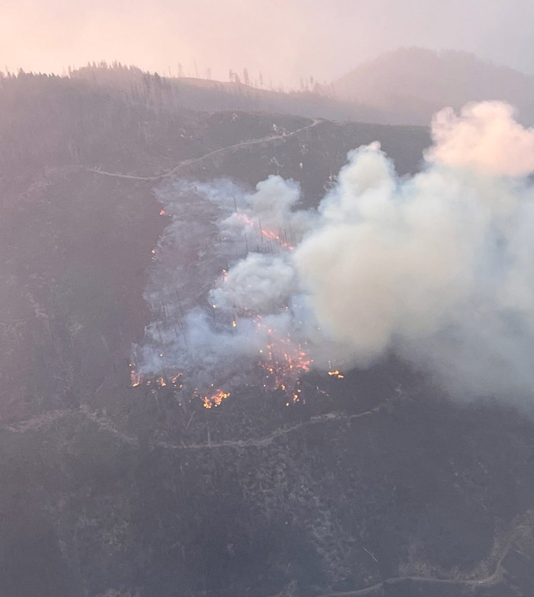 From Klamath National Forest The BlueFire is 20 acres burning in tall brush and snags. A faint glow can be seen on the cams showing the BlueFire, most likely a Lightning Holdover and it Flared up this early evening 