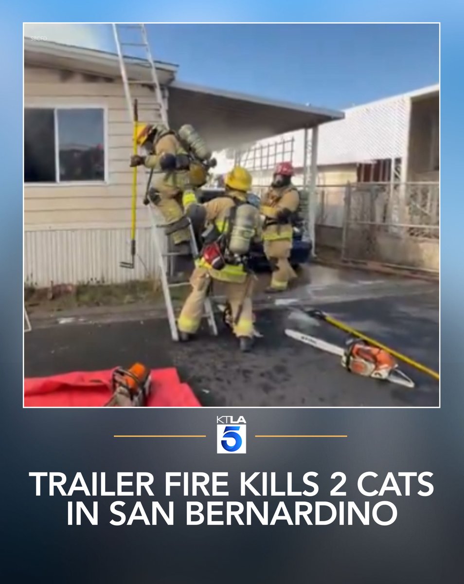 Two cats were killed in a fire in a mobile home in San Bernardino Monday afternoon.