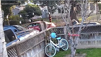 12-year-old girl, grandfather stabbed while leaving for school; neighbor arrested