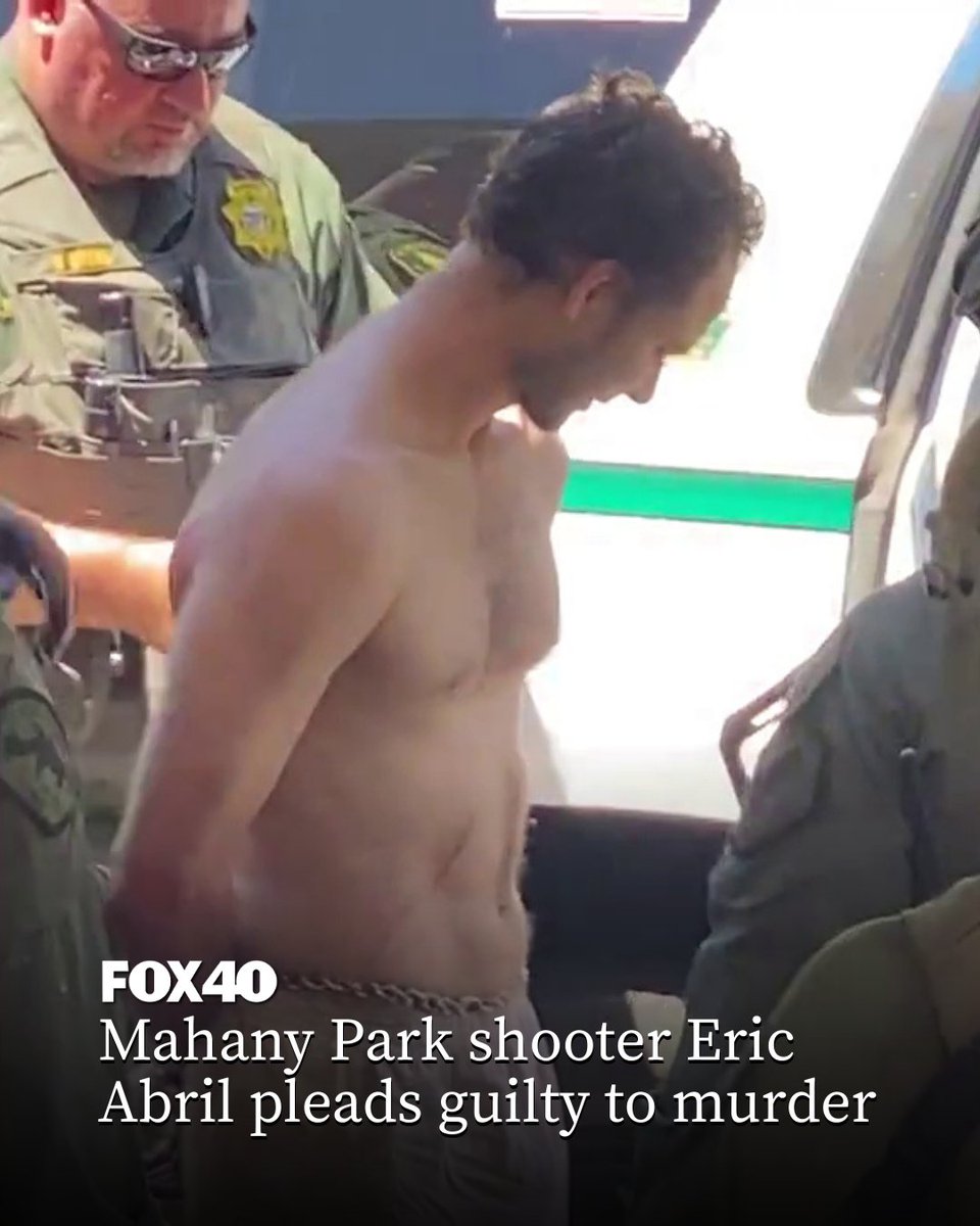 A man who shot and killed a hostage and wounded two others — including an officer — at a Roseville park has pleaded guilty to first-degree murder