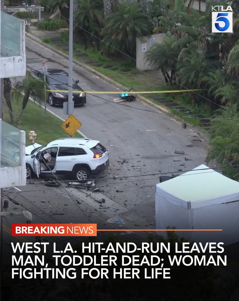 A man and a toddler died in a violent hit-and-run crash that also left a woman in critical condition early Sunday morning, authorities say