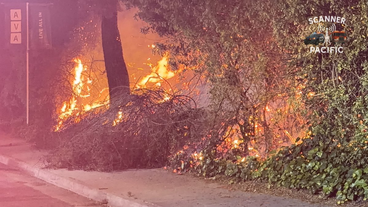 Forest Lawn Dr and Coyote Canyon Rd brush fire. Photos coming tomorrow.New Brush 6700 block of Forest Lawn Dr. east of the Toluca Lake area. The fire is less than 1/4 acre in medium fuels spreading uphill away from Forest Lawn Drive, per the first-arriving unit