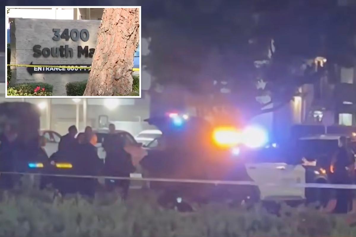 Knifeman, 16, is shot dead by policemen after terrorizing his mom and her boyfriend in Santa Ana