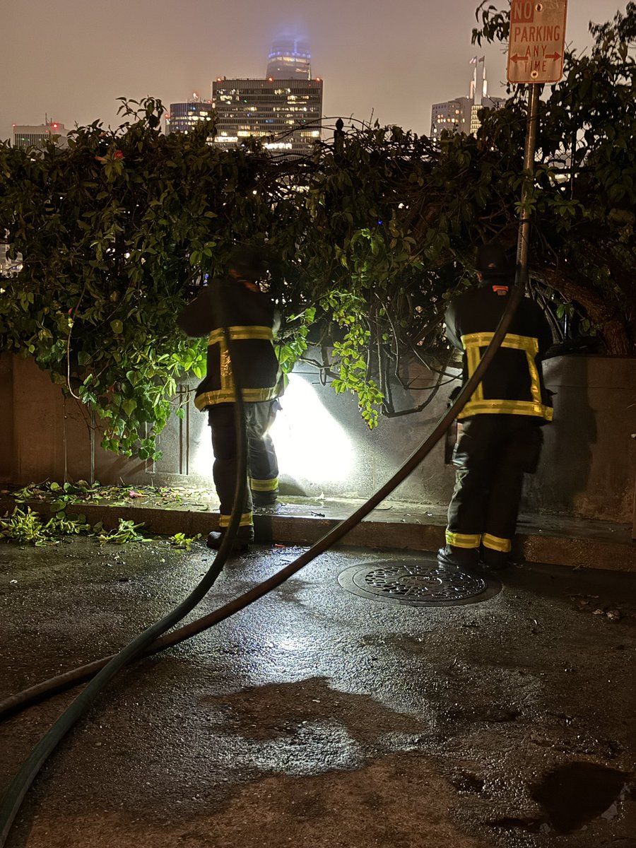 The San Francisco Fire Department is currently on the scene of a wildfire on Calhoun Terrace in the Telegraph Hill area. Firefighters have successfully extinguished all flames and are now focusing on mopping up hotspots. While there is still some residual smoke in theThe San Francisco Fire Department is currently at the scene of a wildfire on Calhoun Terrace in the Telegraph Hill area. 