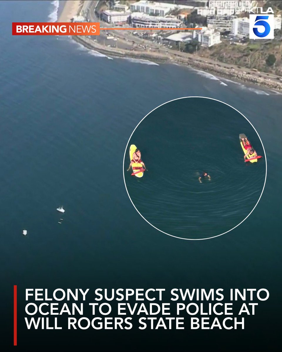 A man wanted on a felony warrant swam into the Pacific Ocean off Will Rogers State Beach on Thursday morning after fleeing police on foot, remaining several hundred yards offshore for more than an hour in an apparent attempt to avoid arrest