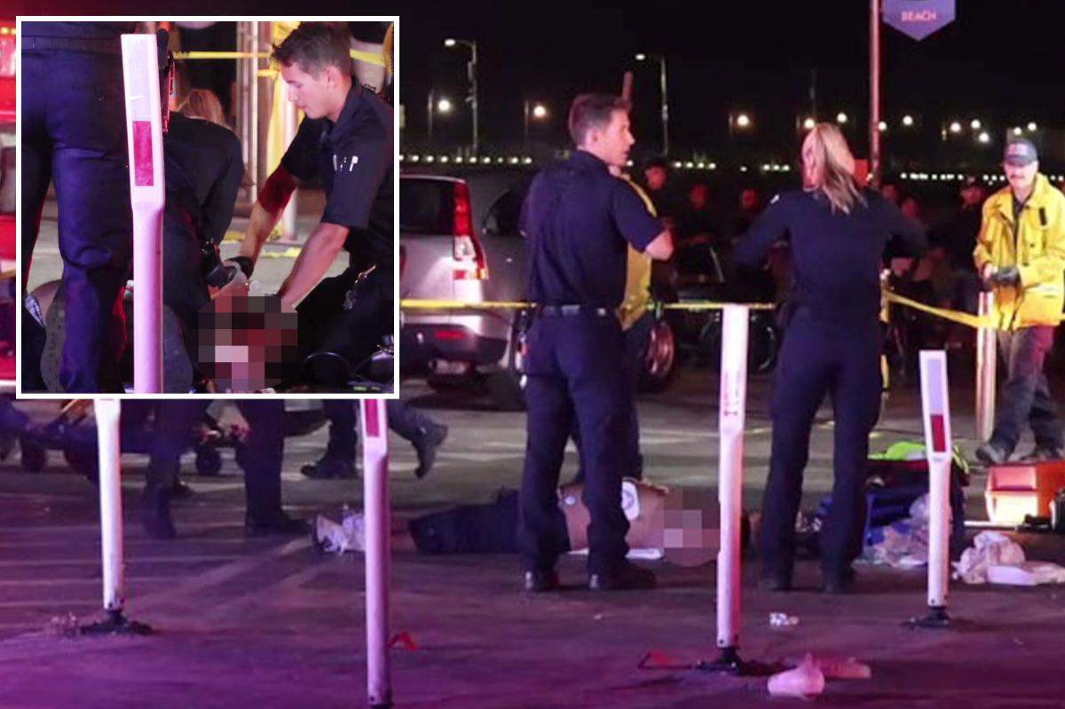 Gunman on the loose after man shot dead near Santa Monica Pier