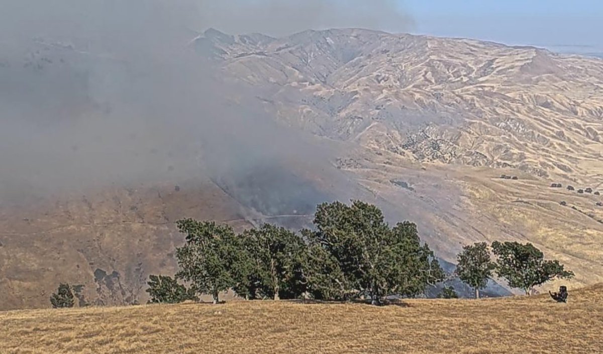 BizzardFire Air Attack 652 reporting 50 acres, Rapid ROS. Grapevine, Kern County