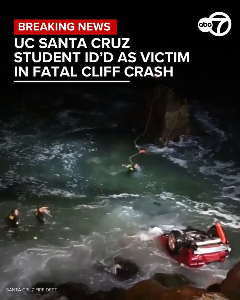 Alli Singh, 19, died after a vehicle she was driving went off the road and over a cliff about 12:50 a.m.  on West Cliff Drive near Steamer Lane