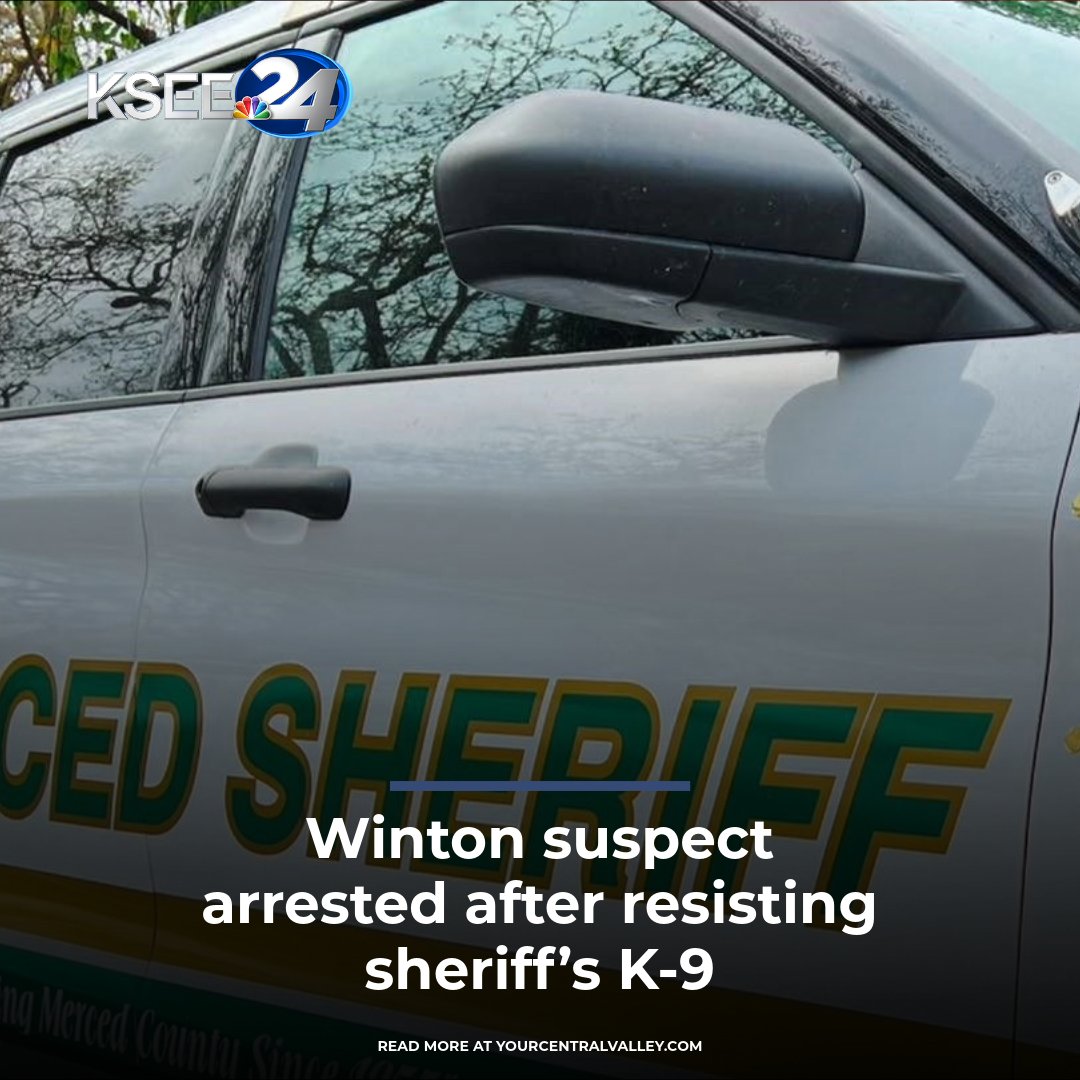 A suspect was taken into custody after a reported domestic involving a firearm in a Winton neighborhood, according to the Merced County Sheriff's Office