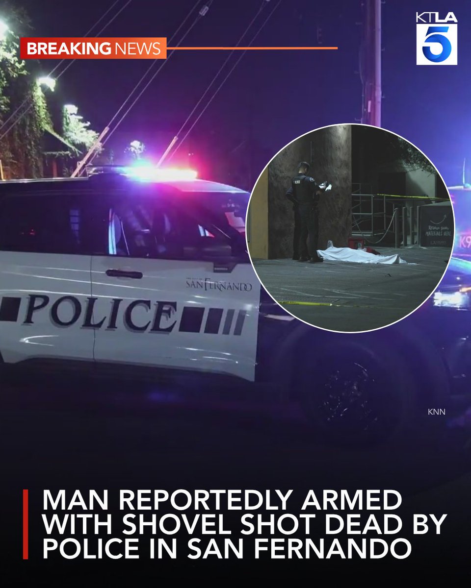 A man reportedly armed with a shovel was shot dead by police in San Fernando early Tuesday morning