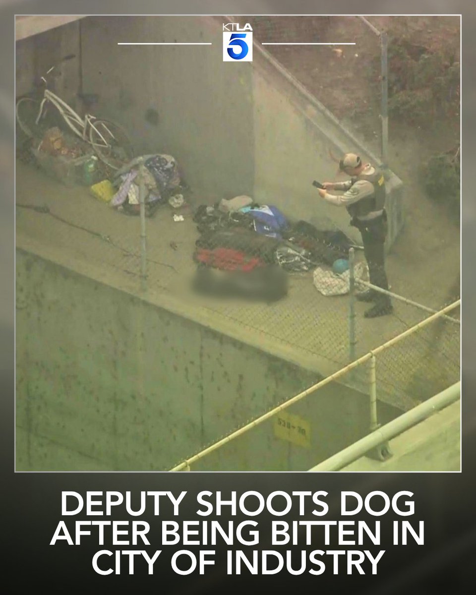 A Los Angeles County sheriff's deputy opened fire on a dog after the animal allegedly bit him in the City of Industry Thursday morning, authorities said